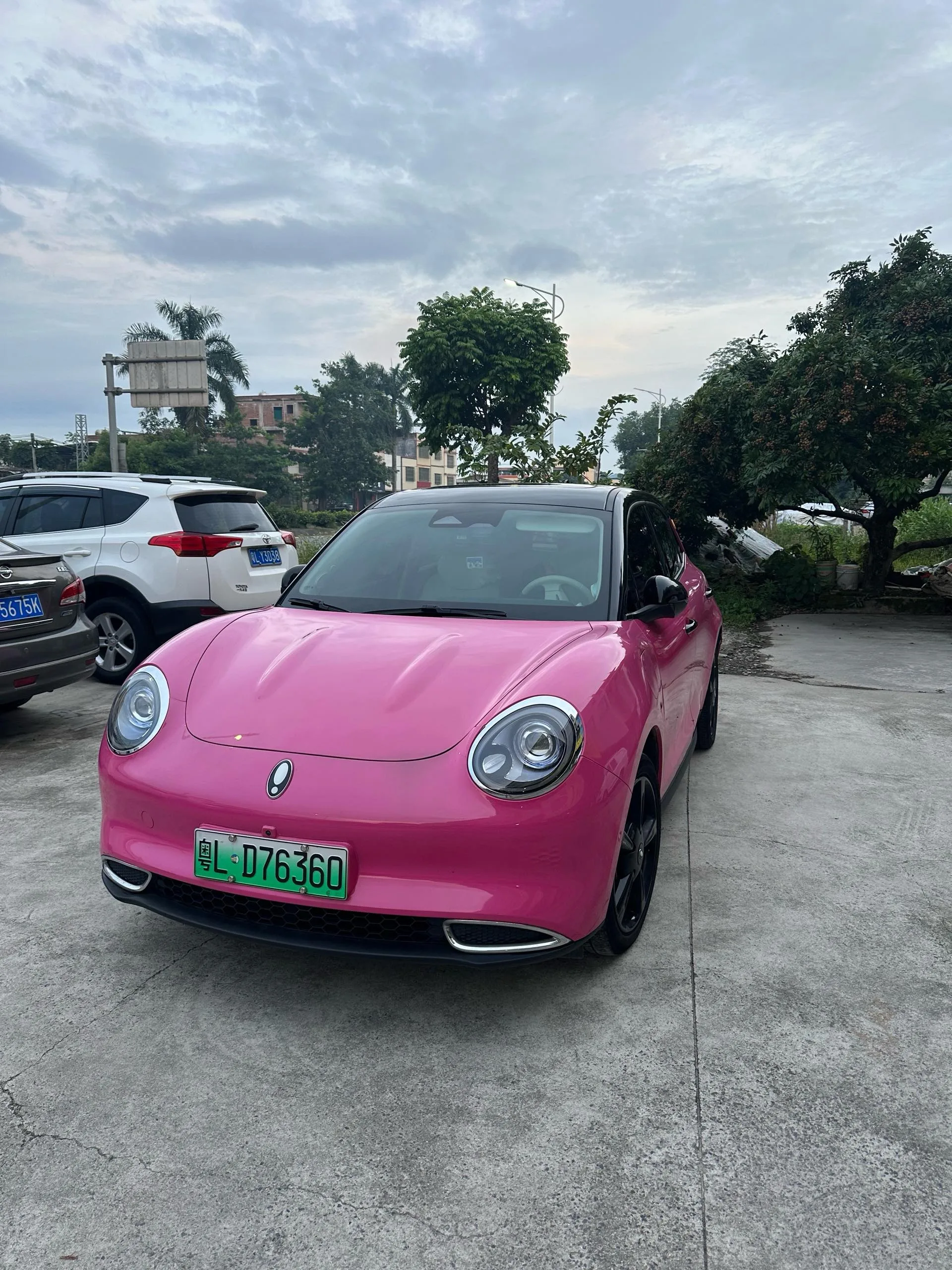 Eula 2024 Good Cat 401 km Premium Edition, Automatic Transmission