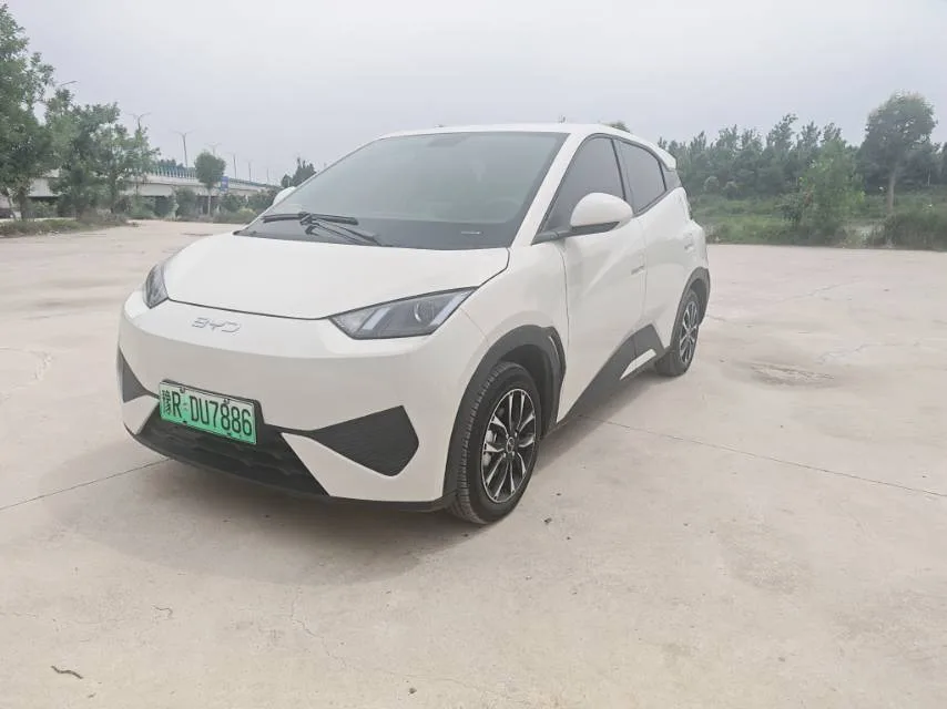BYD 2025 Seagull 305km/h Vitality Edition Automatic