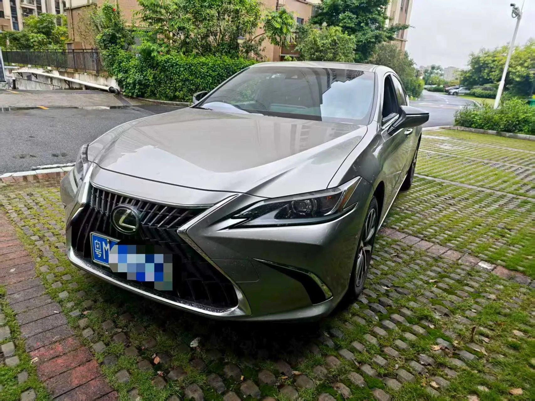 Lexus ES 2020 200 Luxury Edition