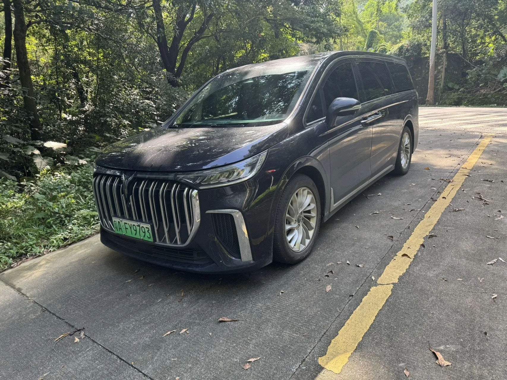 Dreamer 2024 PHEV Extended Range Premium Edition