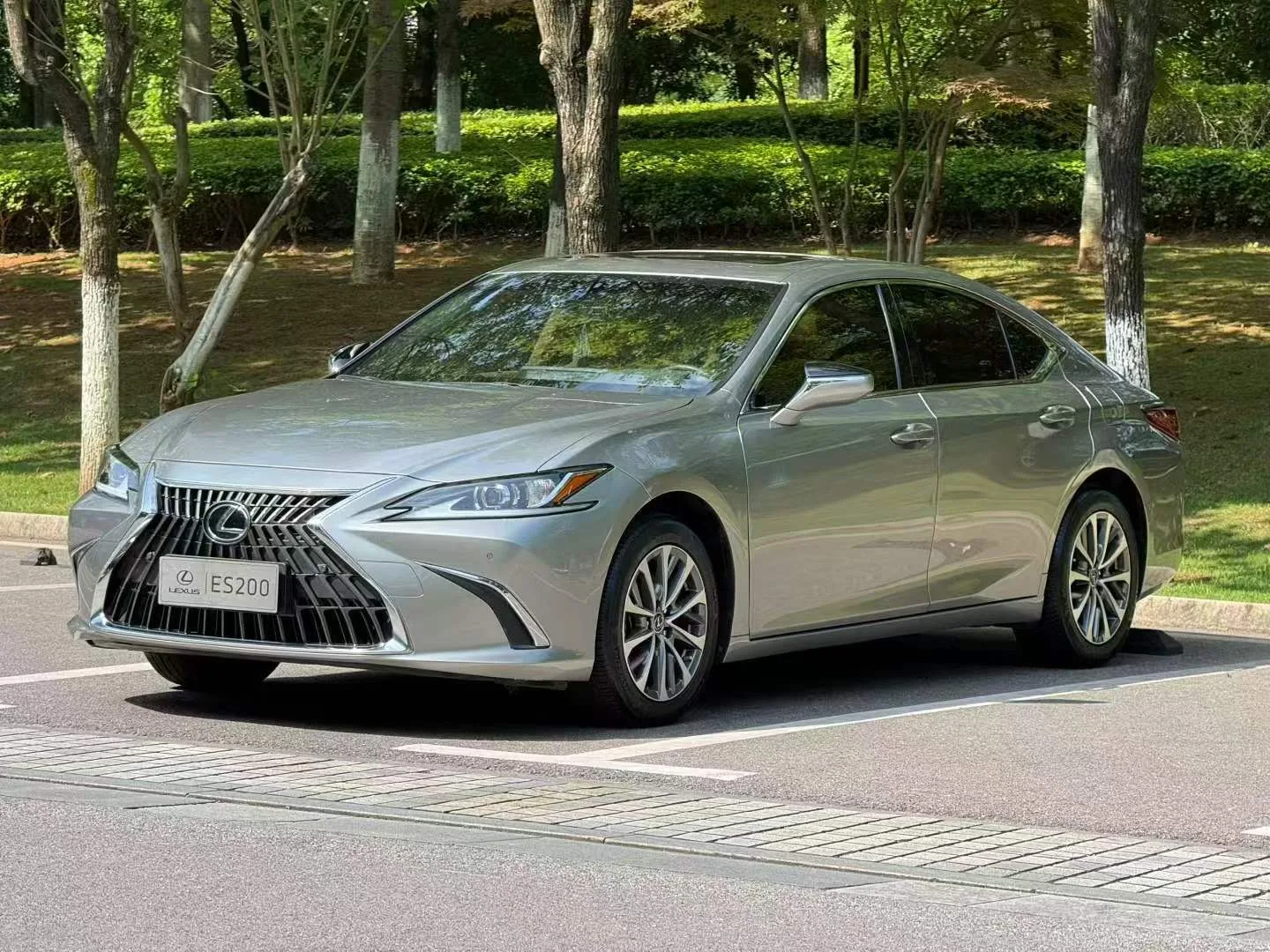 Lexus ES 2023 200 Premium Edition