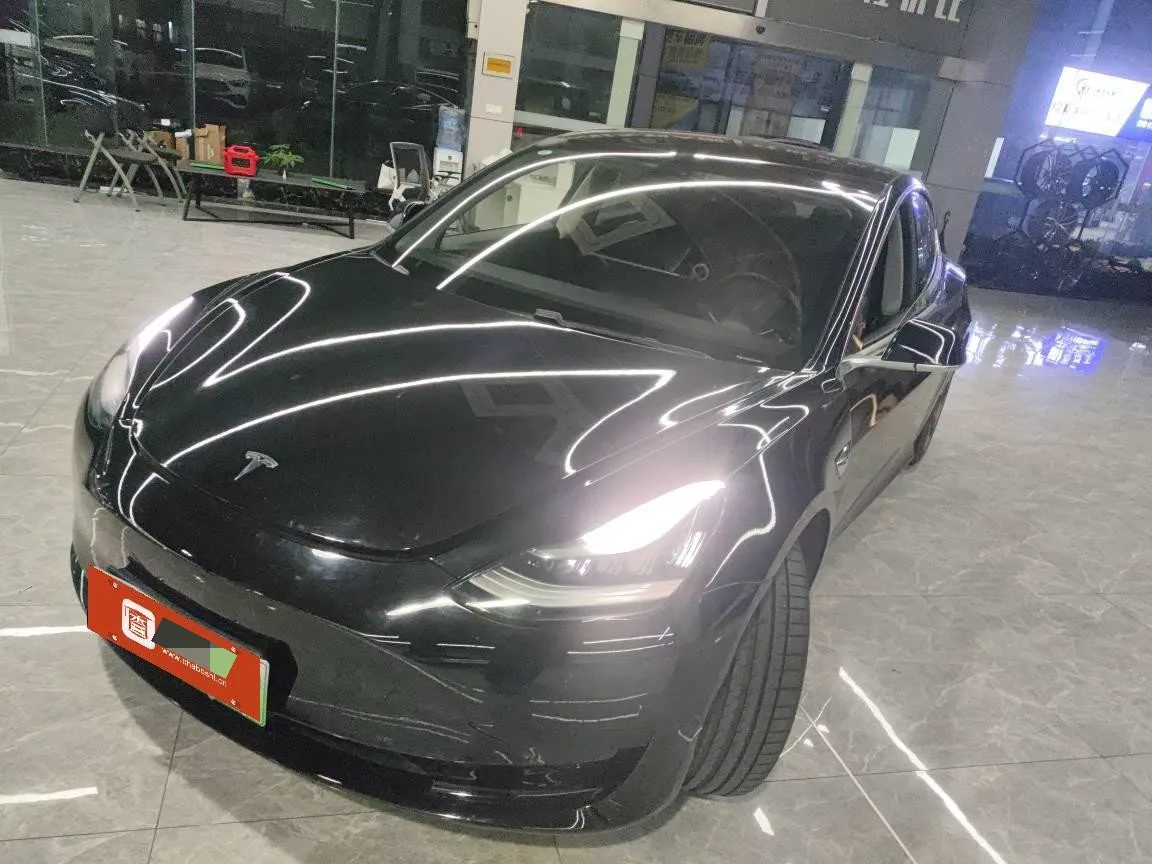 2020 Model 3 Standard Range RWD Plus