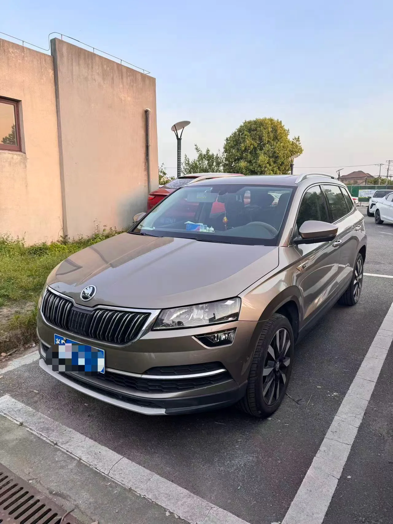 Karoq 2020 TSI280 Smart Luxury Edition (China VI Emission Standard)