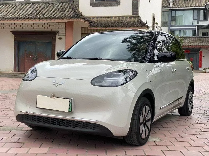 Wuling 2025 Bingo 333km Enjoy Edition Automatic