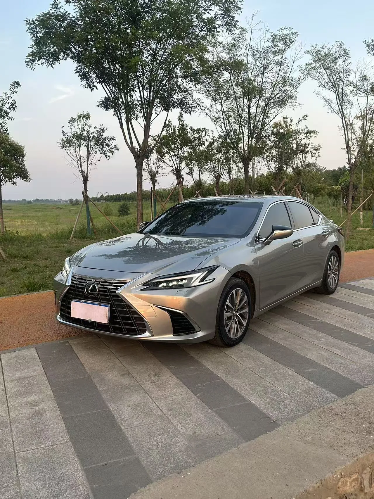Lexus ES (Imported) 2025 ES300h 2.5 CVT Premium Edition Automatic