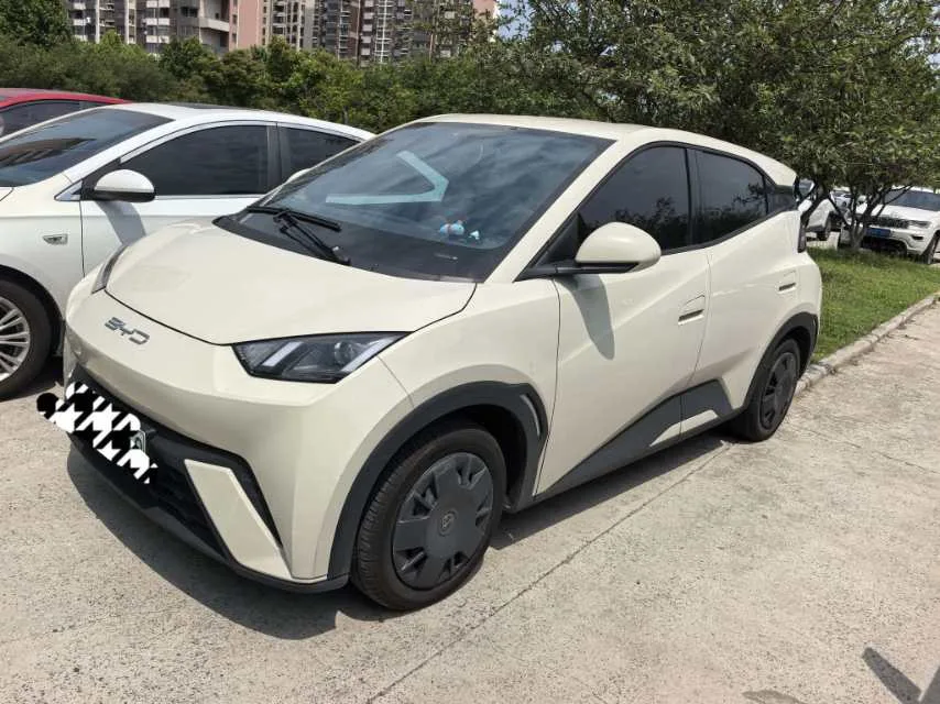 BYD 2024 Seagull Glory Edition 305km/h Vitality Edition Automatic