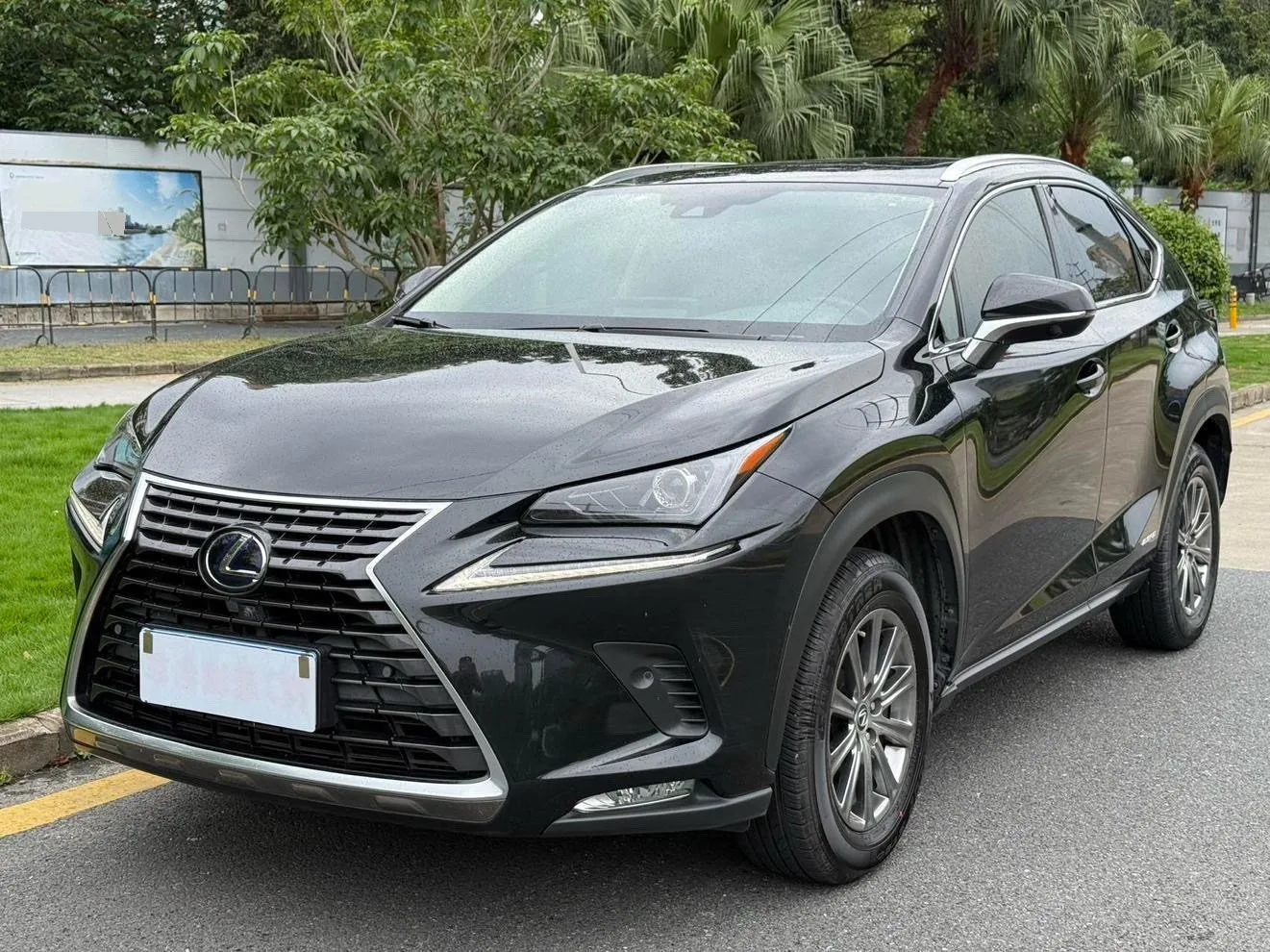 Lexus NX 2020 300h FWD Sport Edition (National V Emission Standard)