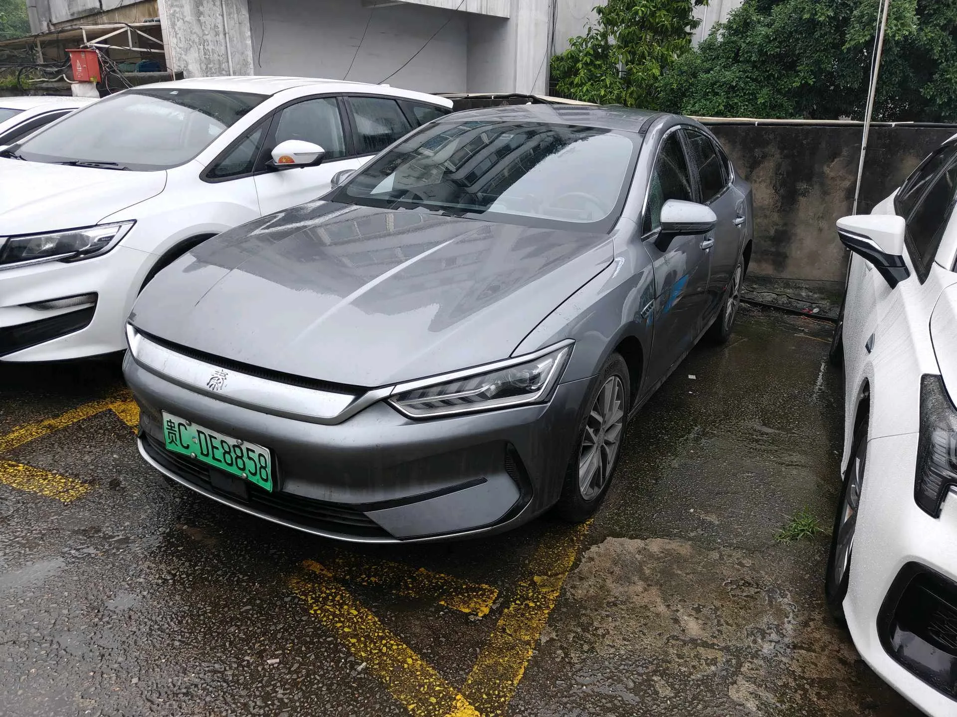 BYD 2024 Qin PLUS EV 510KM Glory Edition Leading Model Automatic