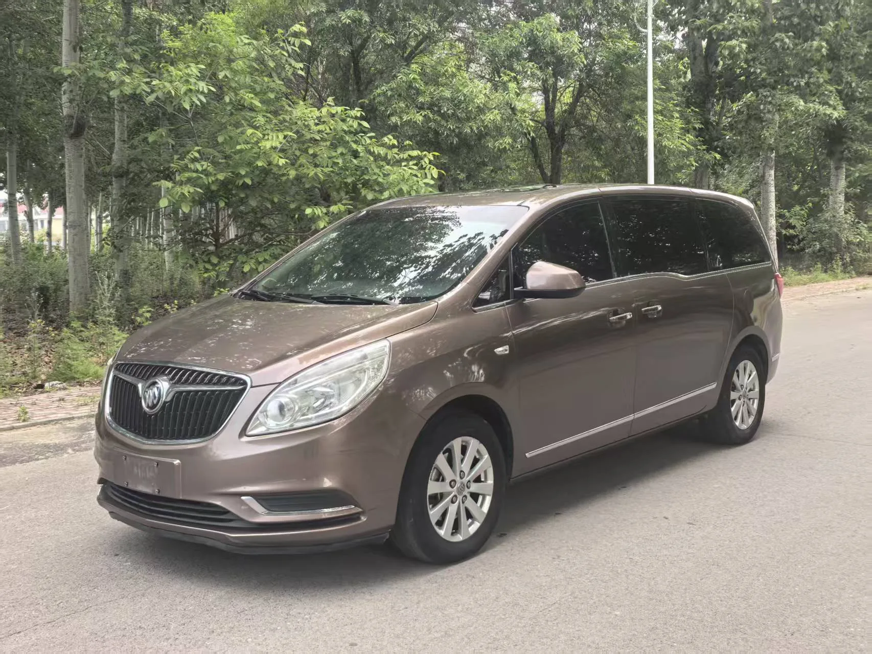 2018 Buick GL8 28T Luxury Edition (China VI)