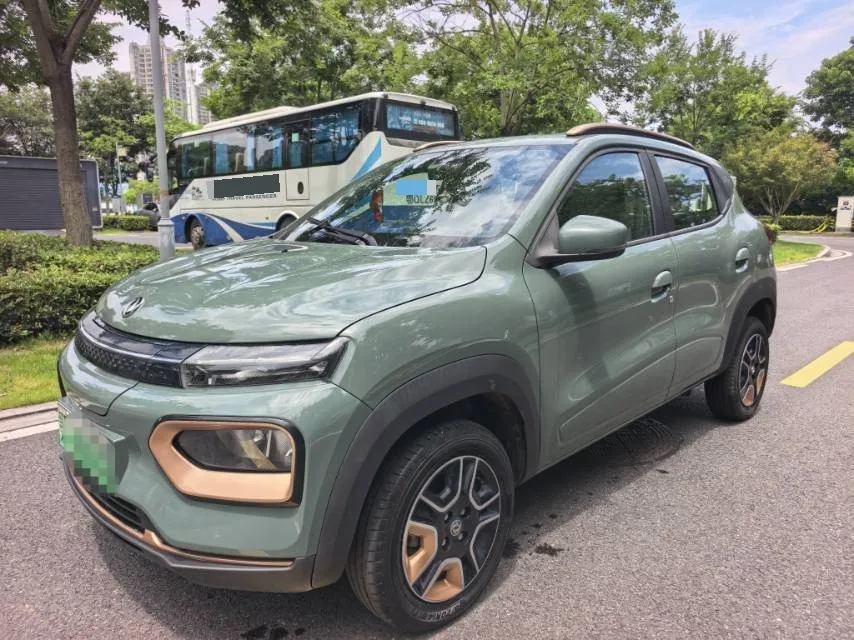 Dongfeng 2022 Nano BOX Champion Edition Light Breeze Version, 100 km, Standard Model, Automatic Transmission
