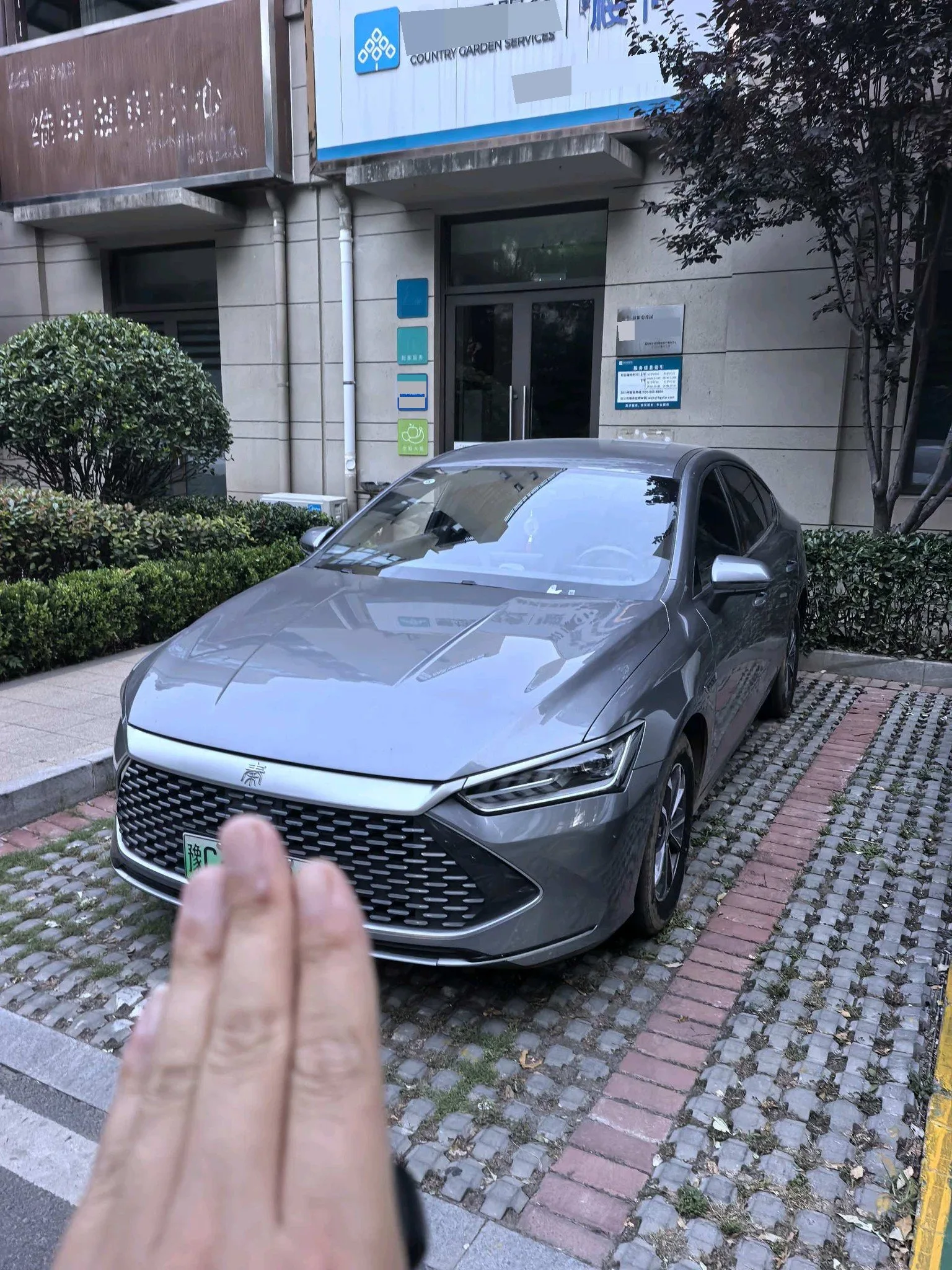 世界 2024 秦 加 DM-i 1.5 CVT 荣耀 版 55公里 领导 模型 自动的