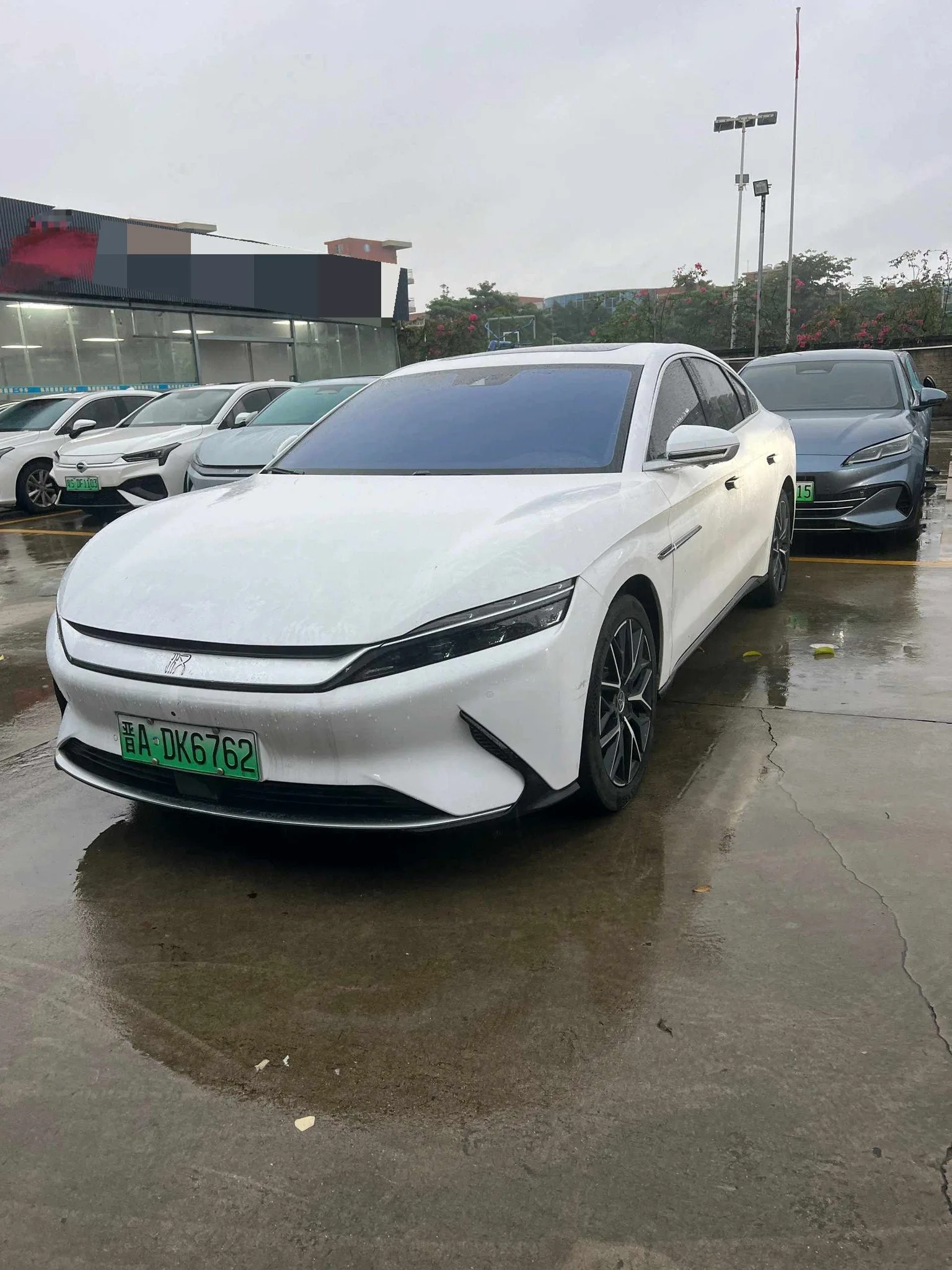Han 2020 EV Extended Range Luxury Edition
