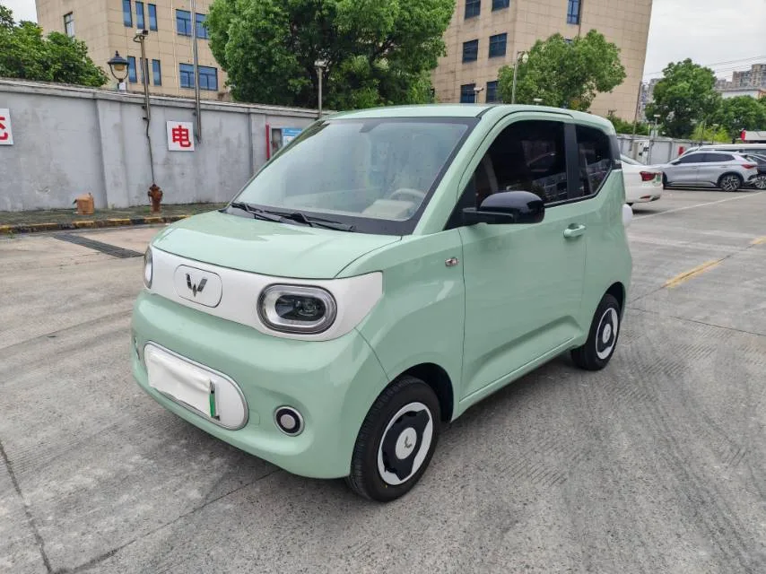 Wuling 2024 Hongguang MINI EV 215km Youth Edition Automatic