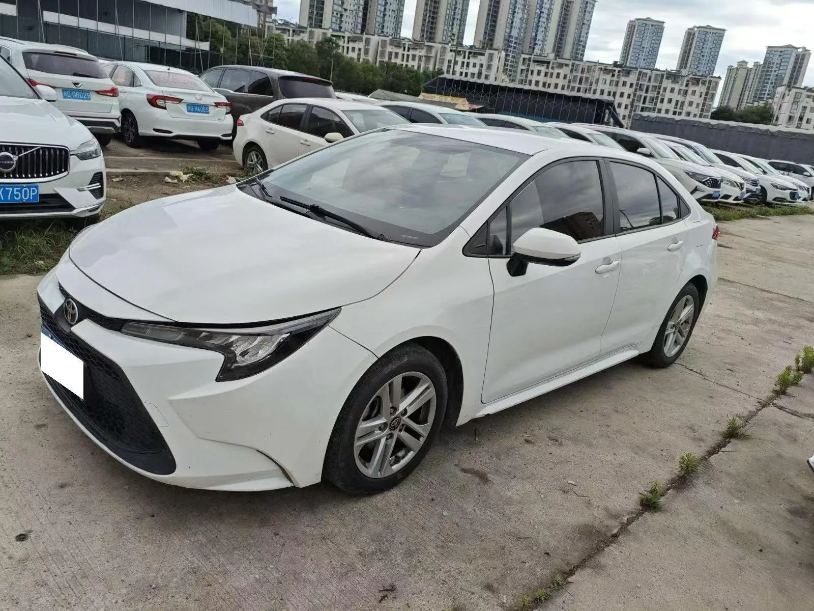 Levin 2022 TNGA 1.5L CVT Entry Edition