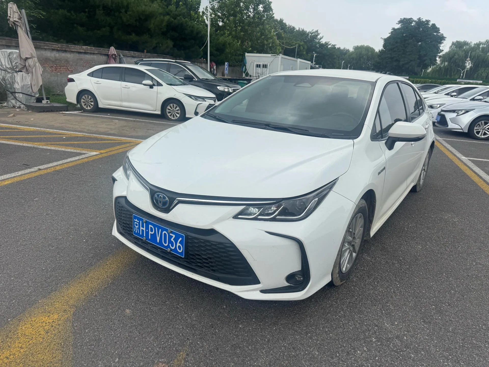 Toyota 2023 Corolla Hybrid 1.8 CVT Intelligent Electric Hybrid Pioneer Edition Automatic Transmission