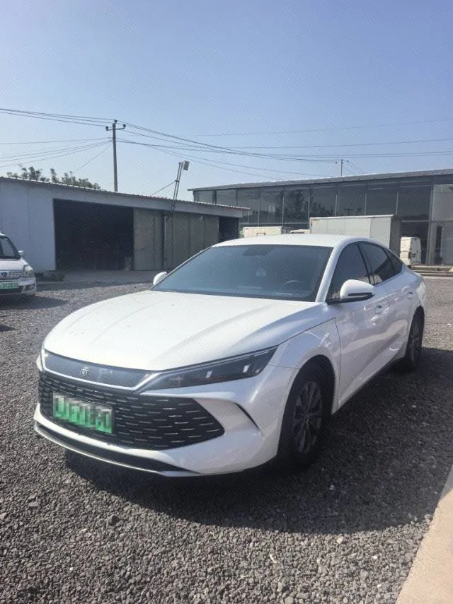 Qin L 2024 DM-i 80KM Leading Edition
