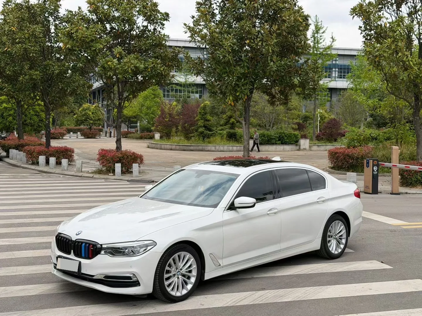 BMW 5 Series 2020 530Li Leading Luxury Package