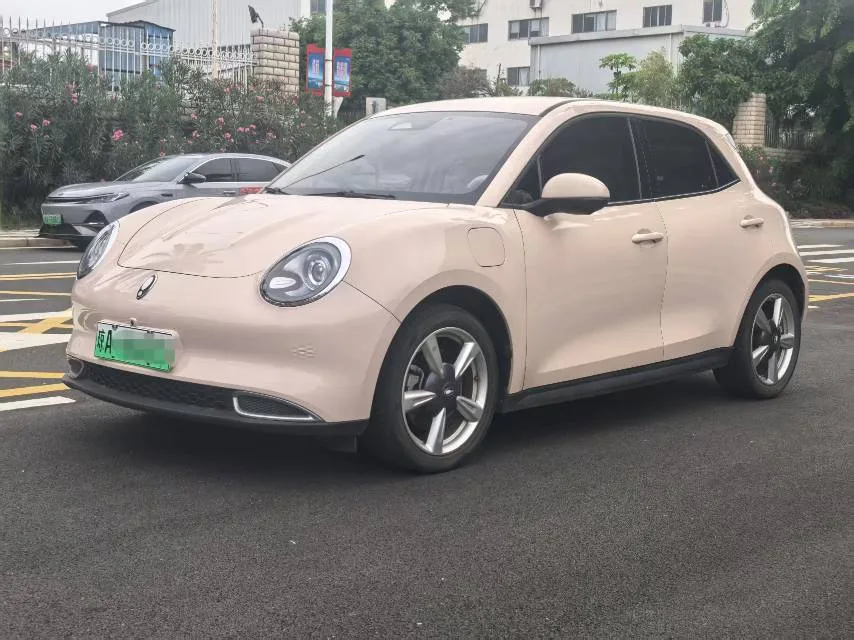 ORA Good Cat 2024 Model 401km Luxury