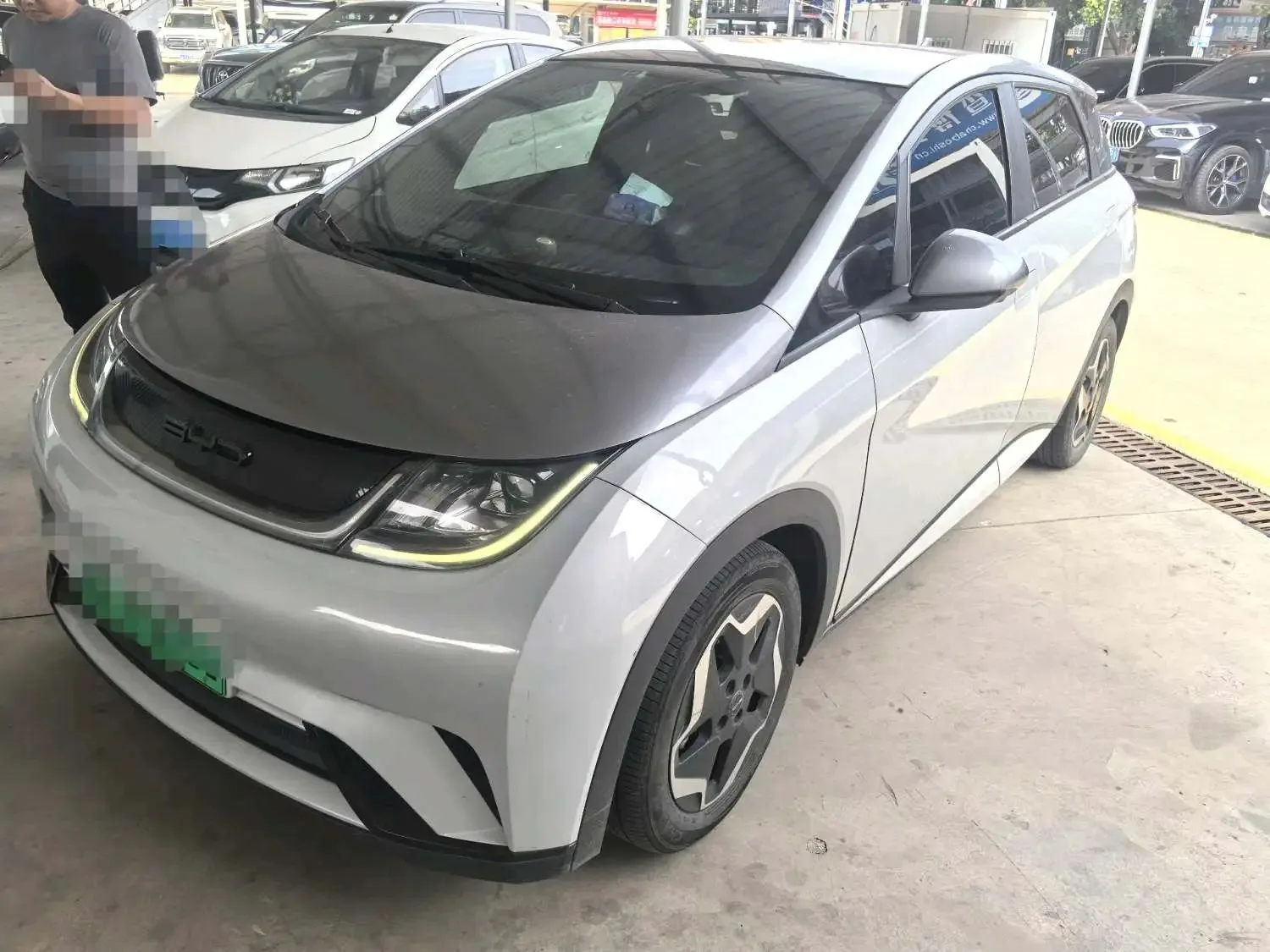 Dolphin 2021 405km Fashion Edition
