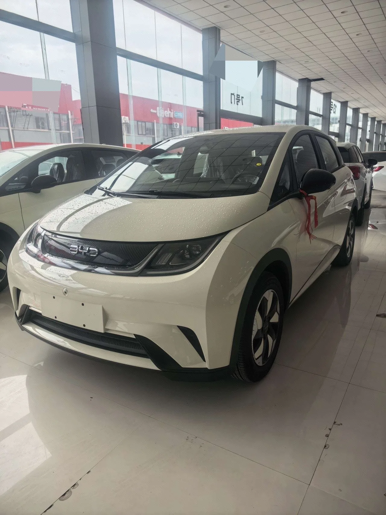 BYD 2025 Dolphin 420km Freedom Edition Automatic