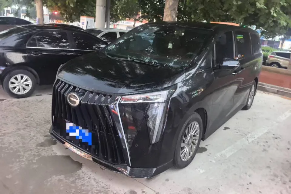 Trumpchi M8 2024 2.0TGDI High-Spec Version