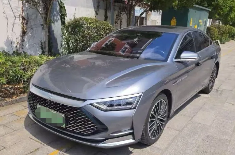 2020 Han DM 4WD Performance Premium Edition
