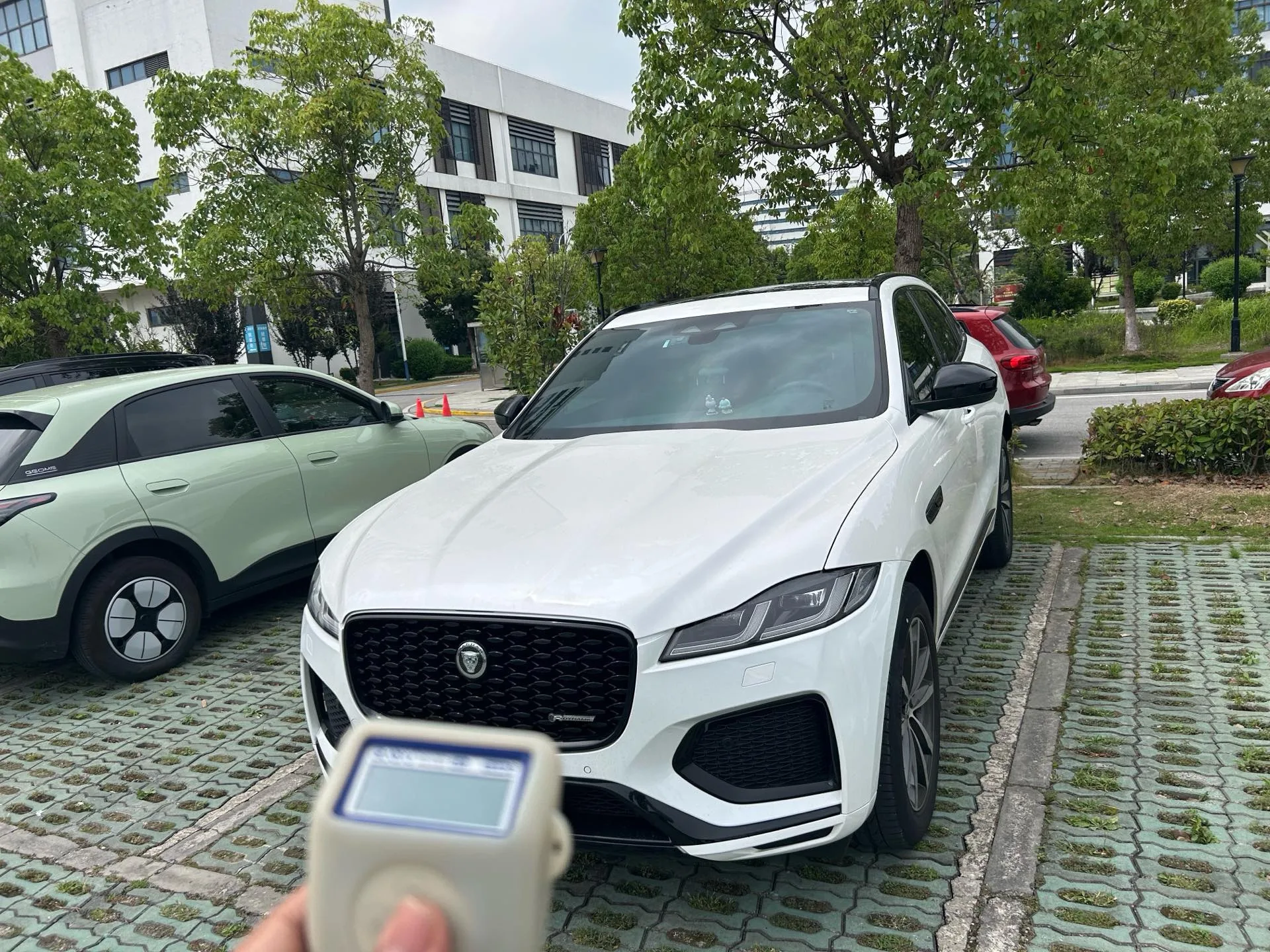 2024 Jaguar F-PACE P250 R-Dynamic SE