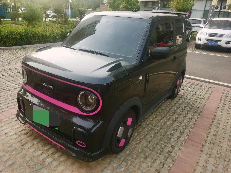 Geely 2025 Panda MINI 210km Panda Go-Kart Automatic