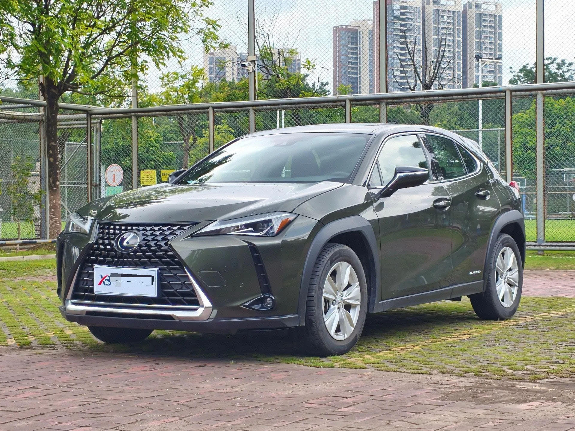 2020 Lexus UX 260h Adventure Edition