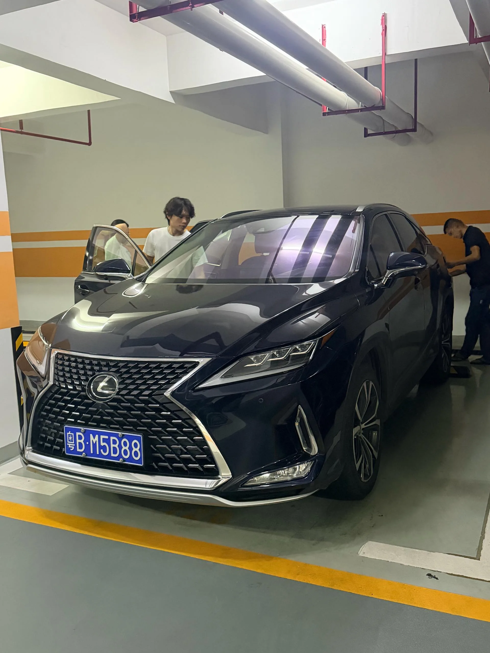 Lexus RX 2020 300 AWD Elegant Edition (China V Emission Standard)