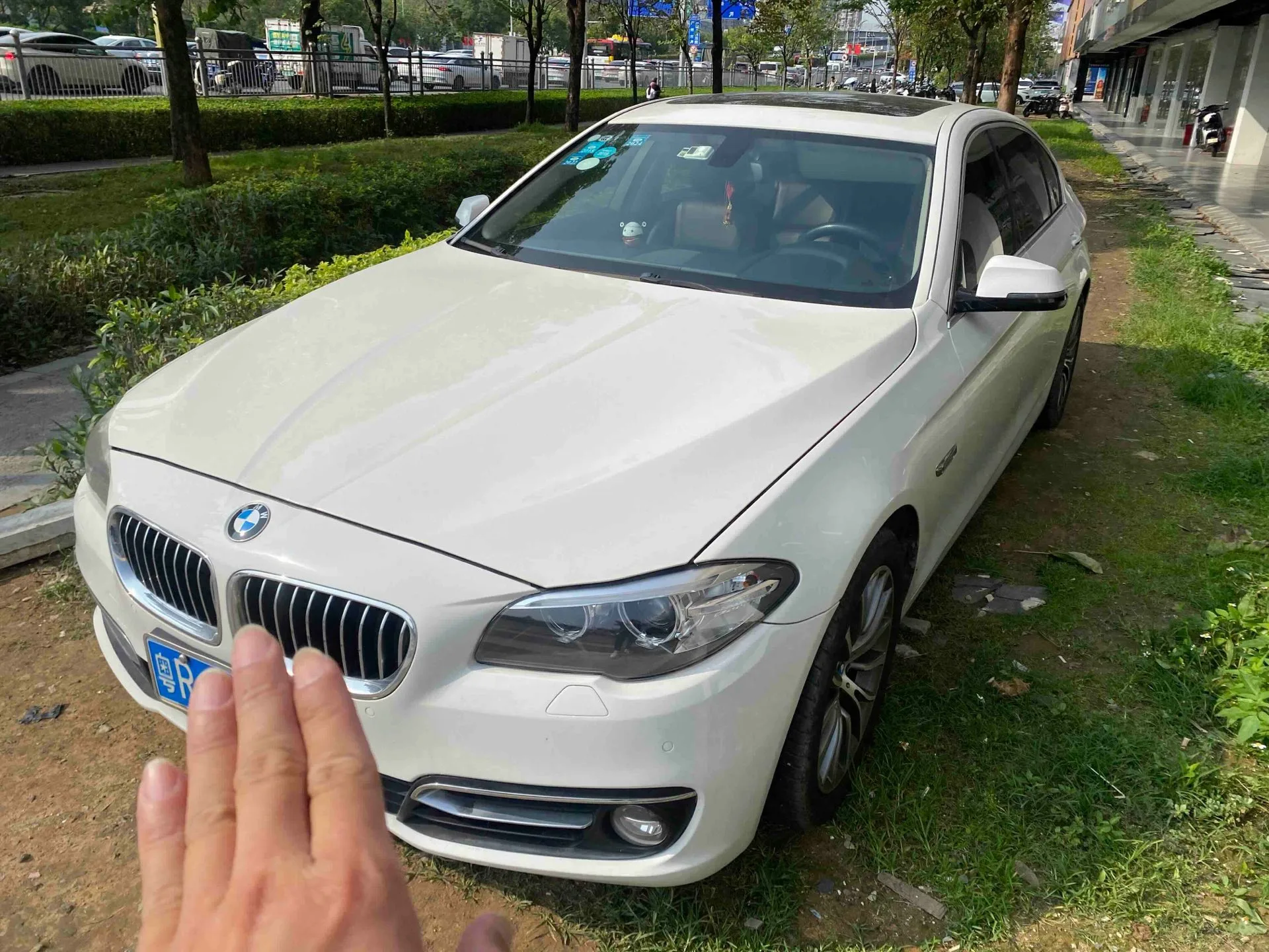 2014 BMW 5 Series 525Li Luxury Design Package