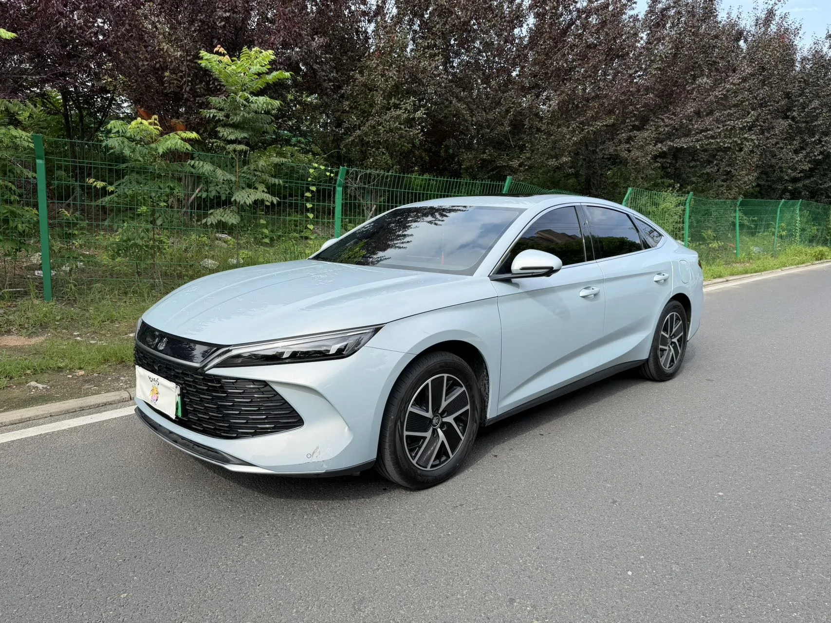 Qin L 2024 DM-i 120KM Leading Edition