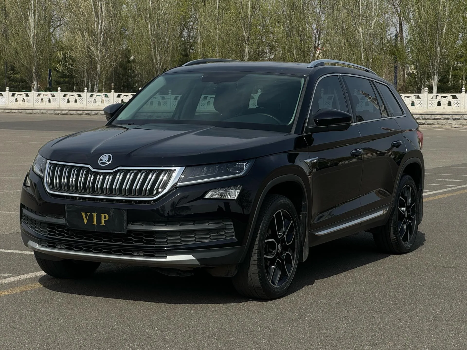 2019 Skoda Kodiaq TSI330 7-seater 2WD Luxury Edition (National V Emission Standard)