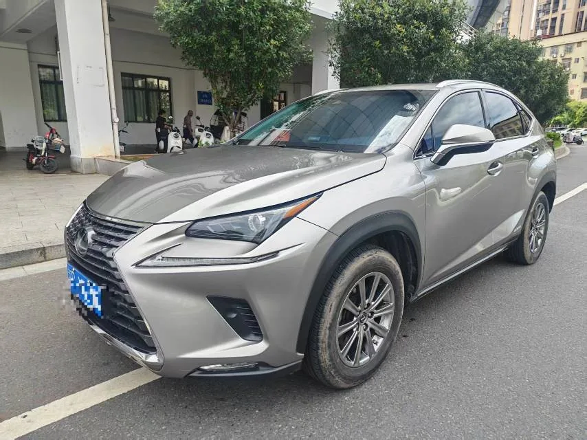 2018 雷克萨斯 NX 300小时 前轮驱动 运动 版, 中国 在 排放 标准