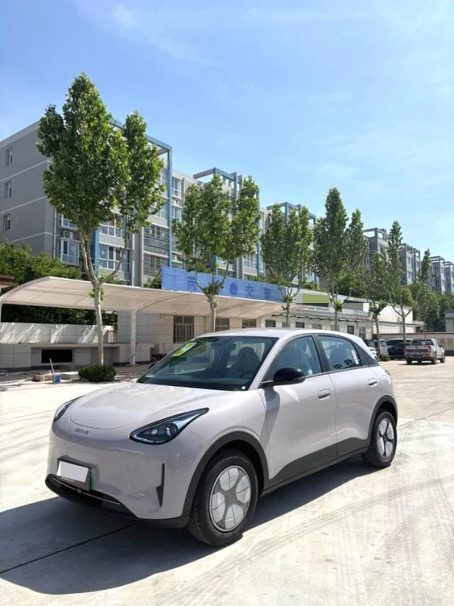 Star Wish 2026 Model 310km Youth Edition