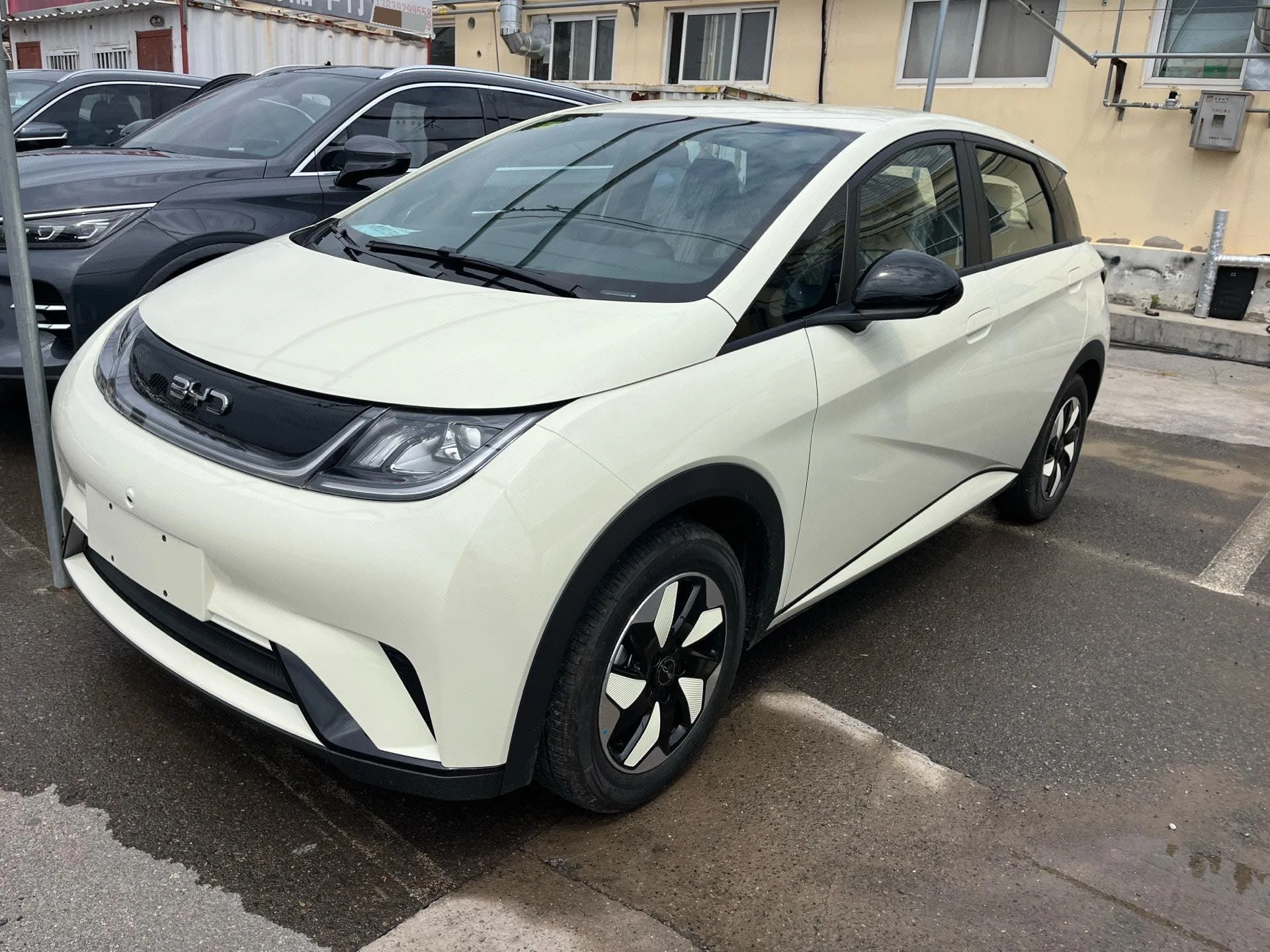 BYD 2025 Dolphin 420km Freedom Edition Automatic