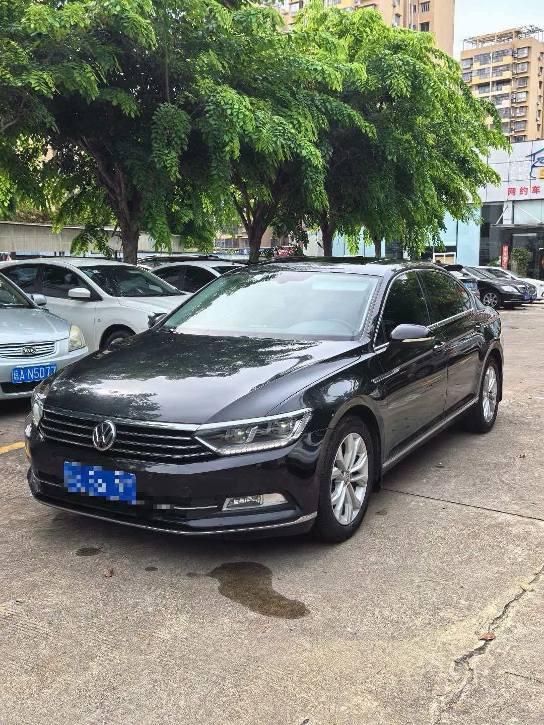 2019 Volkswagen Magotan 330TSI DSG Luxury Edition (National V Emission Standard)