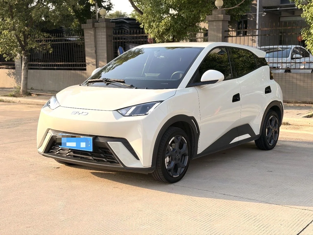 BYD 2023 Seagull Freedom Edition Automatic