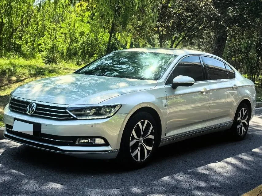2019 Volkswagen Magotan 330TSI DSG Luxury Edition (National V Emission Standard)