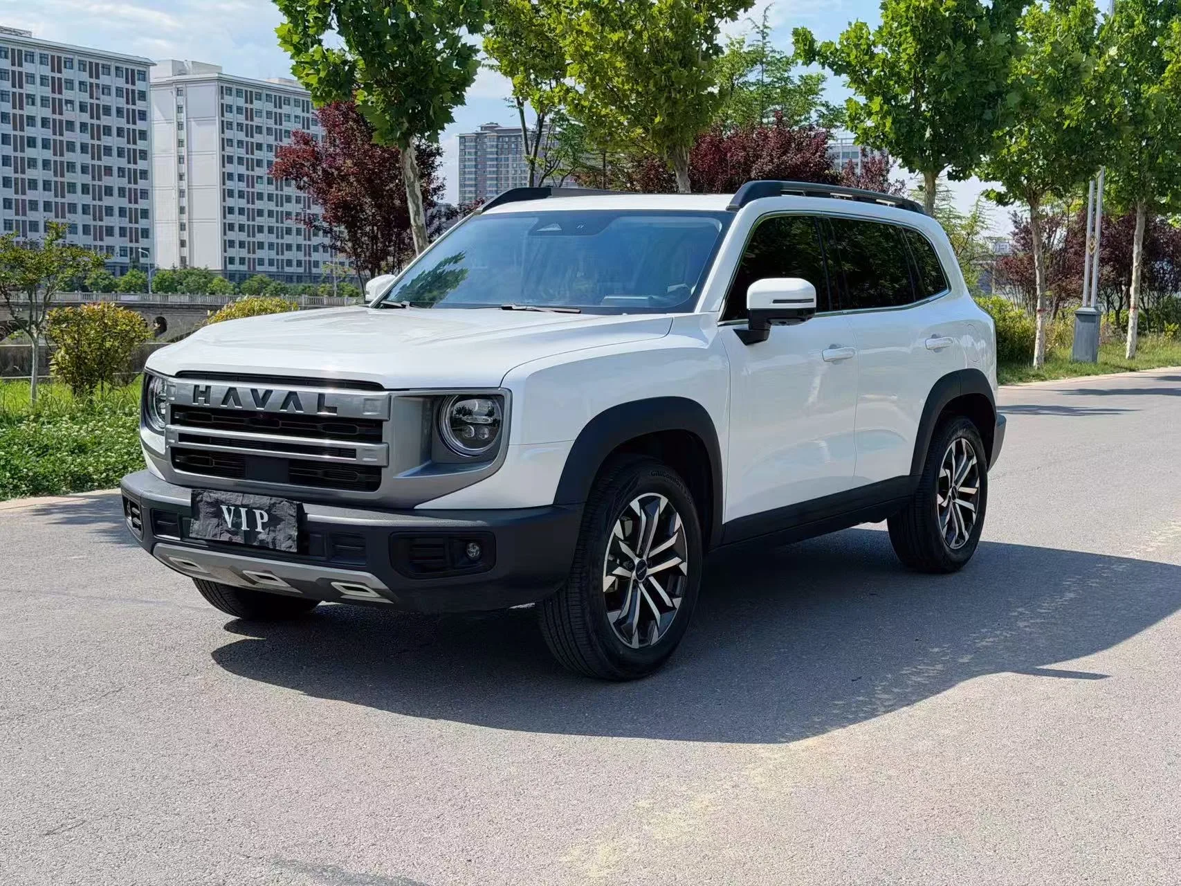 Haval Big Dog 2022 1.5T DCT 2WD Border Collie Edition