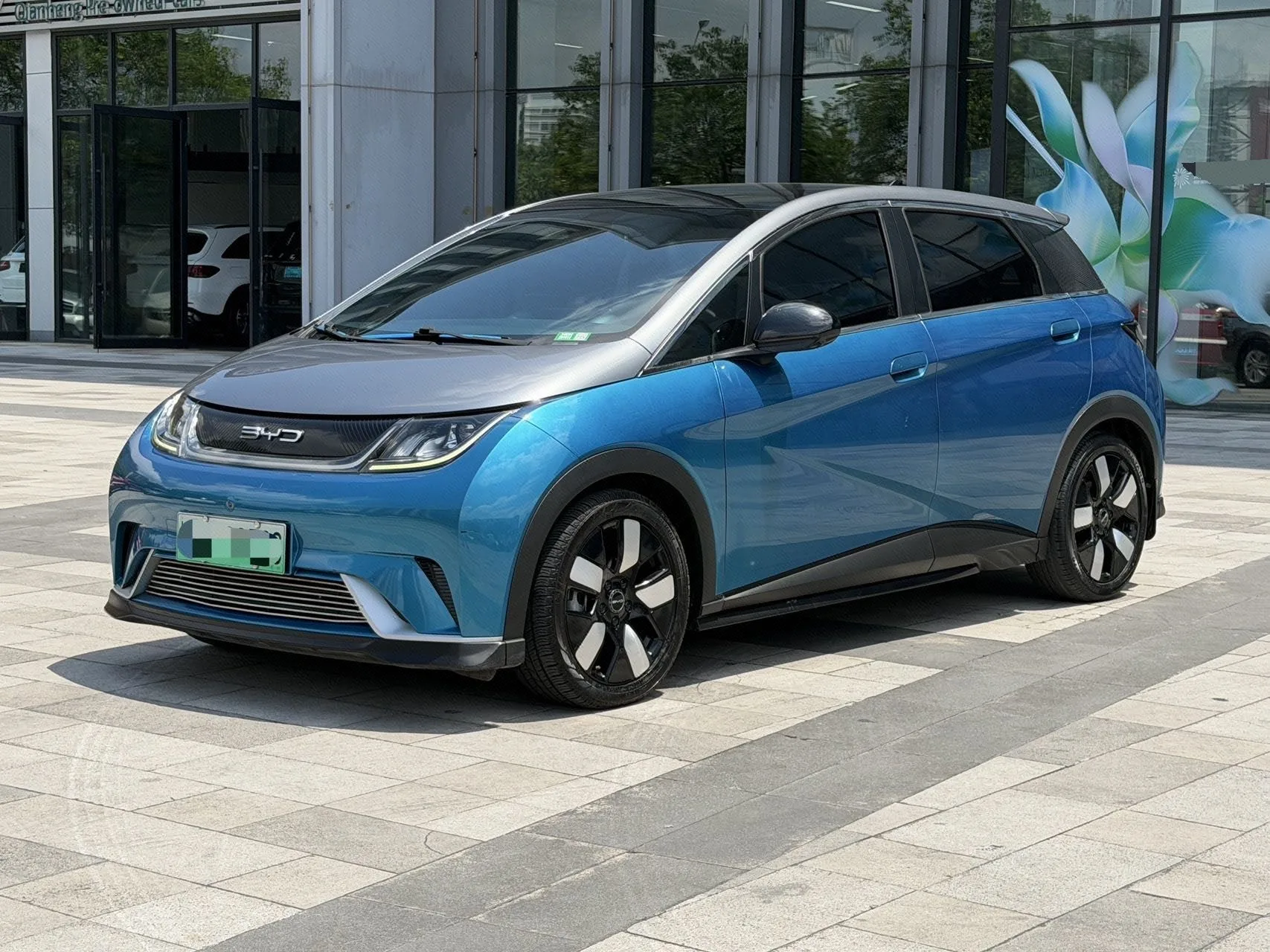 Dolphin 2021 Model 401km/h Knight Edition