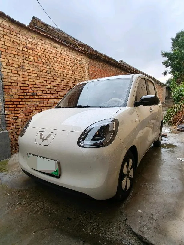 Wuling 2025 Hongguang MINI EV Four-Door Premium Edition Automatic