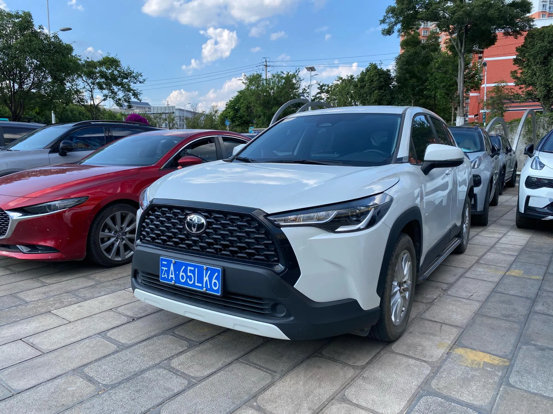 2023 丰田 花冠 R系列 2.0 CVT 先锋 版 自动的