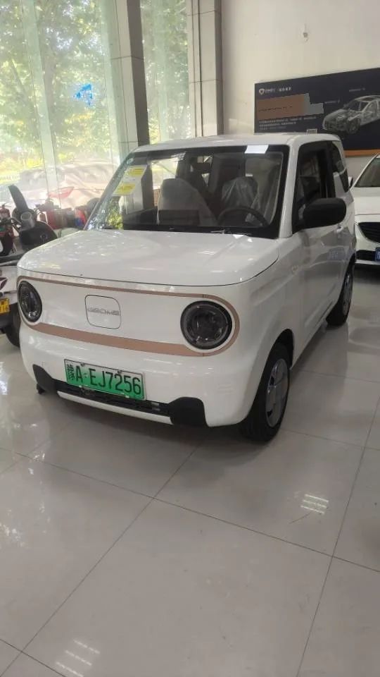 熊猫 2024 熊猫 小型的 200公里 耐力 熊