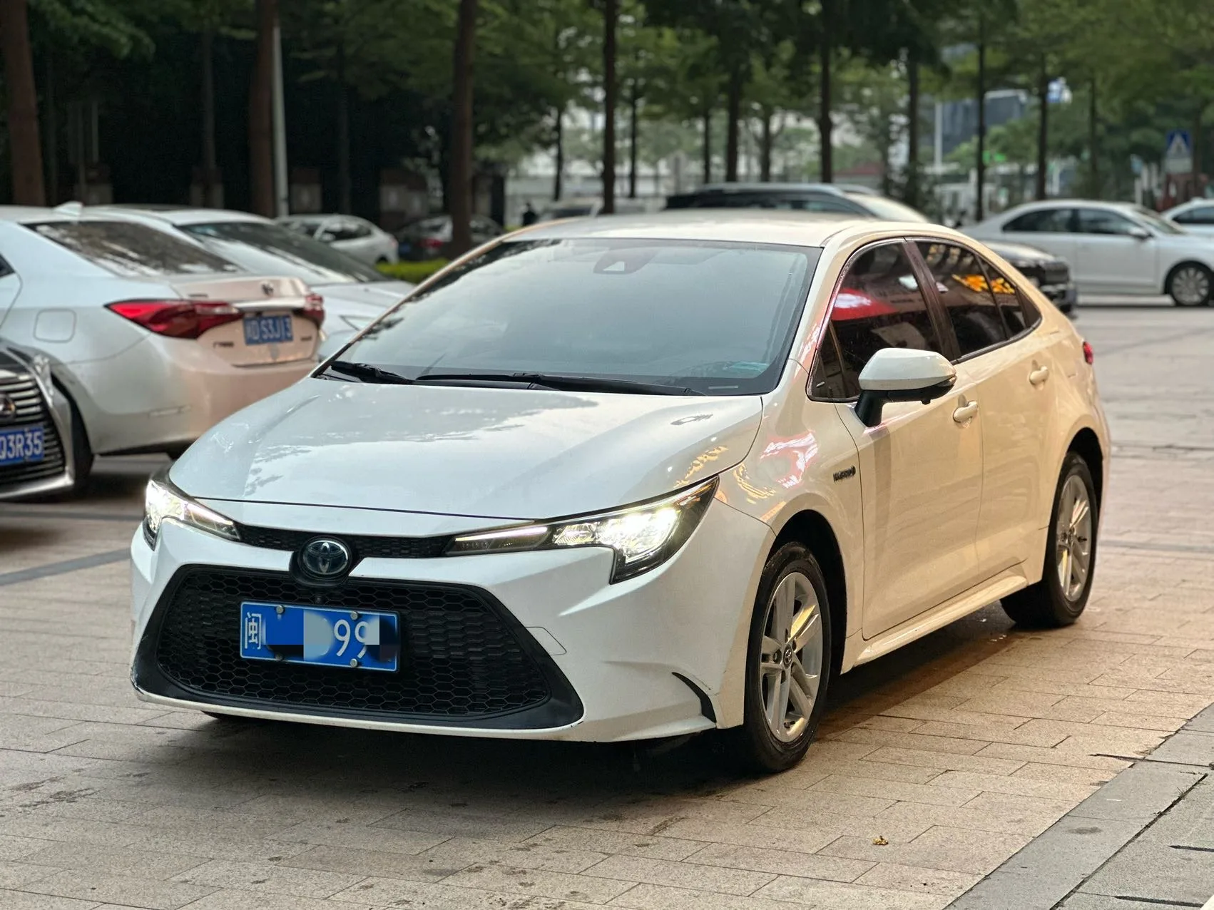 Levin 2022 Hybrid 1.8H E-CVT Leading Edition