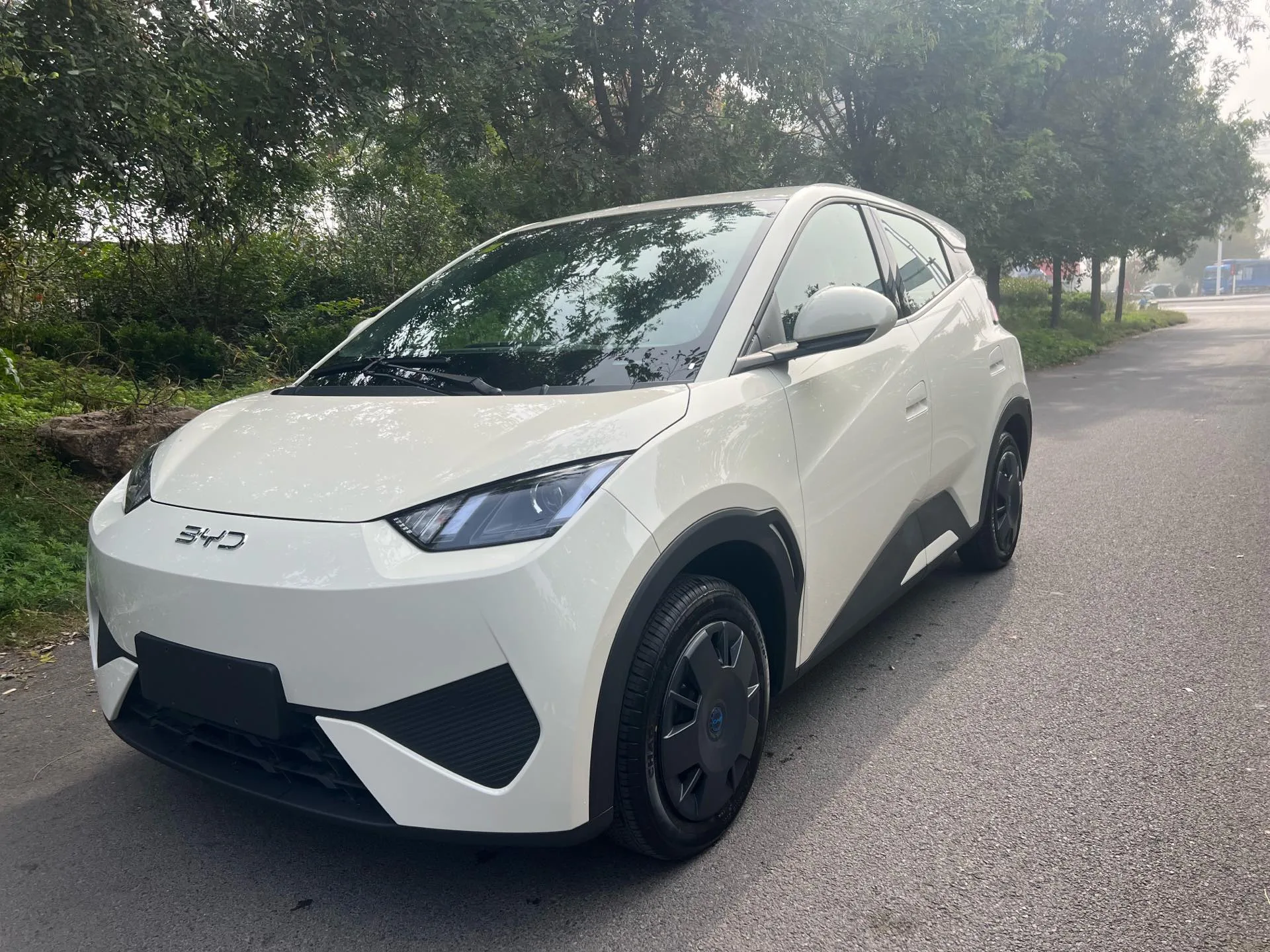 BYD 2025 Seagull Smart Driving Edition 305km/h Vitality Edition Automatic