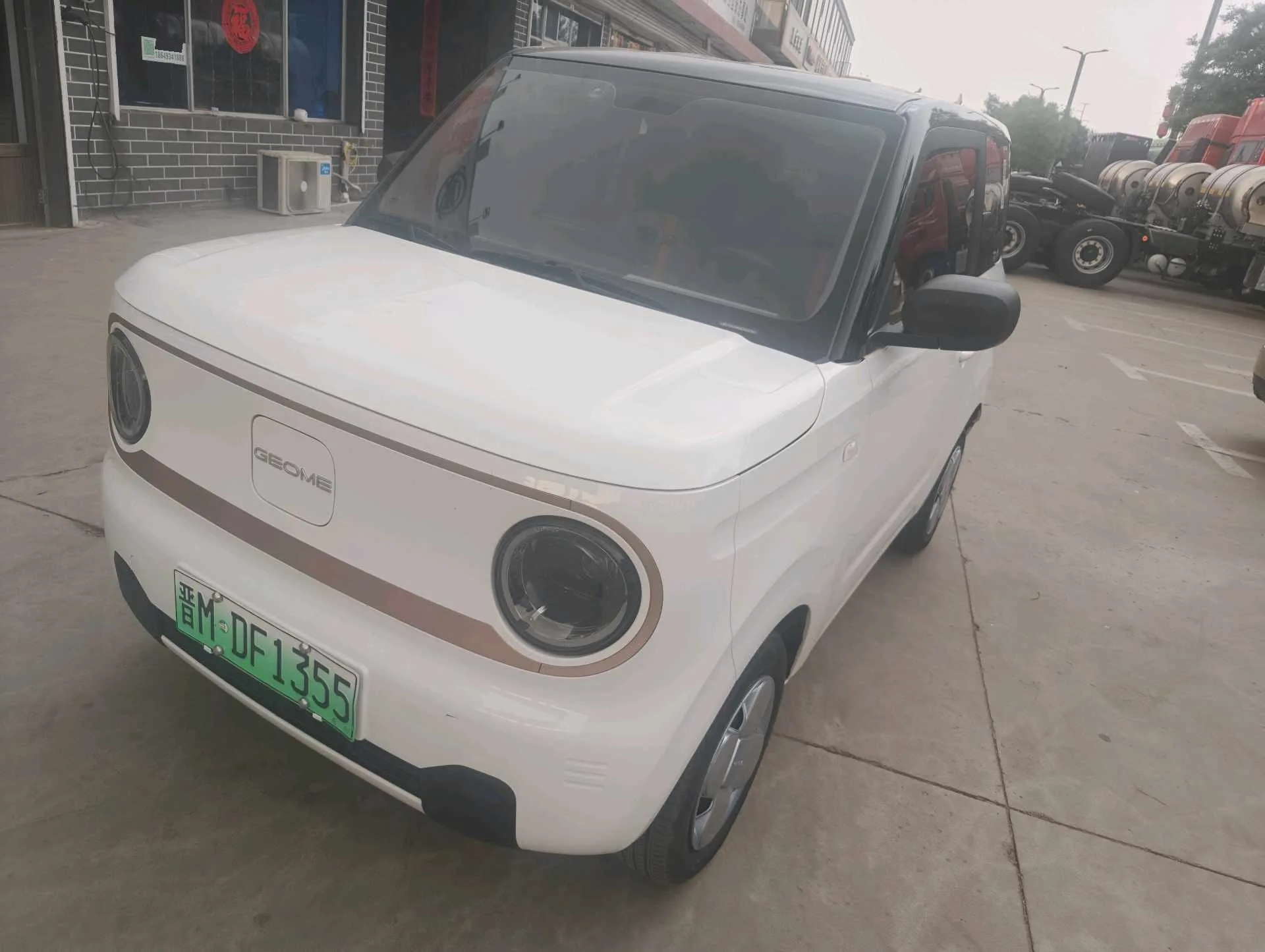 Panda 2024 Panda Mini 200km Endurance Bear