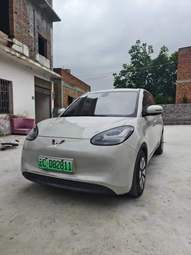 Wuling Bingo 2023 Model, 203km Comfort Edition