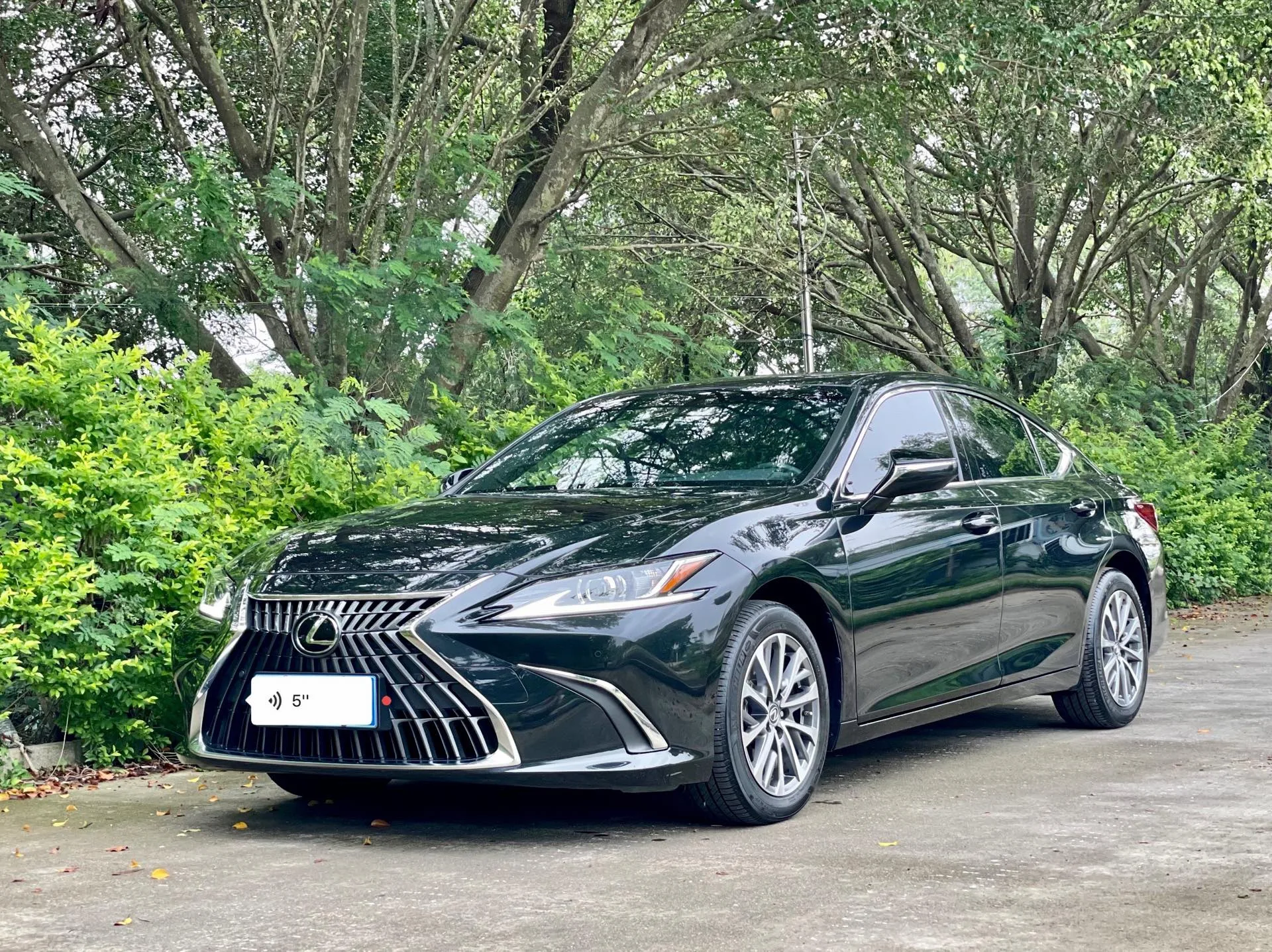 Lexus ES 2023 200 Premium Edition