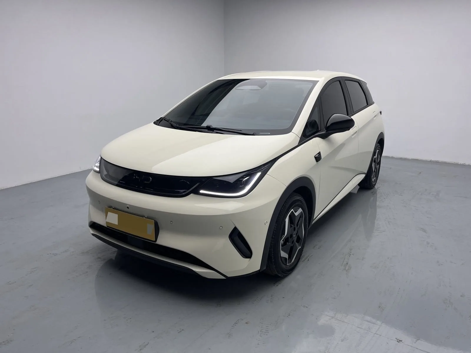 BYD 2025 Dolphin Smart Driving Edition 420km Freedom Edition Automatic Transmission